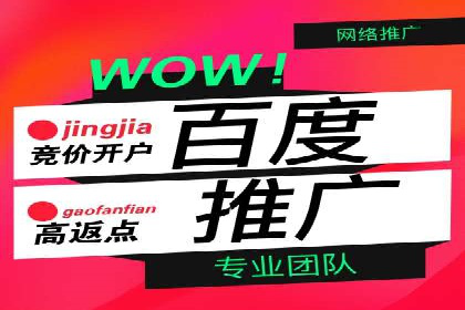 高效SEM托管公司案例对比分析